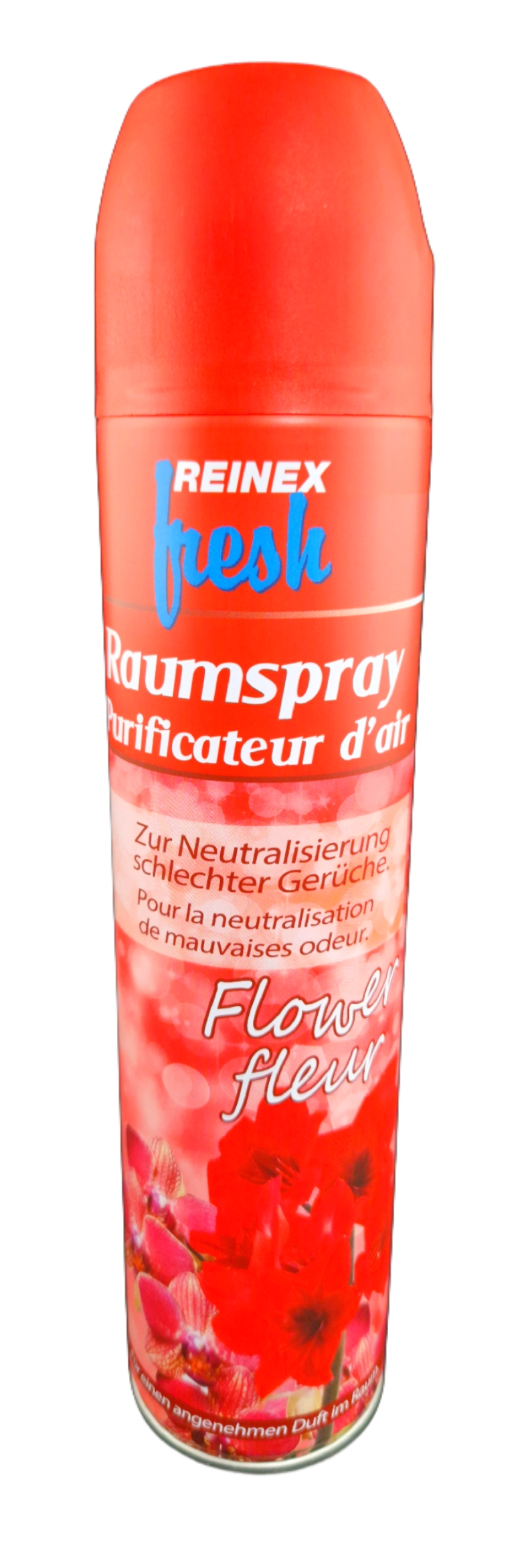 Raumspray 300ml Dose verschiedene Sorten
