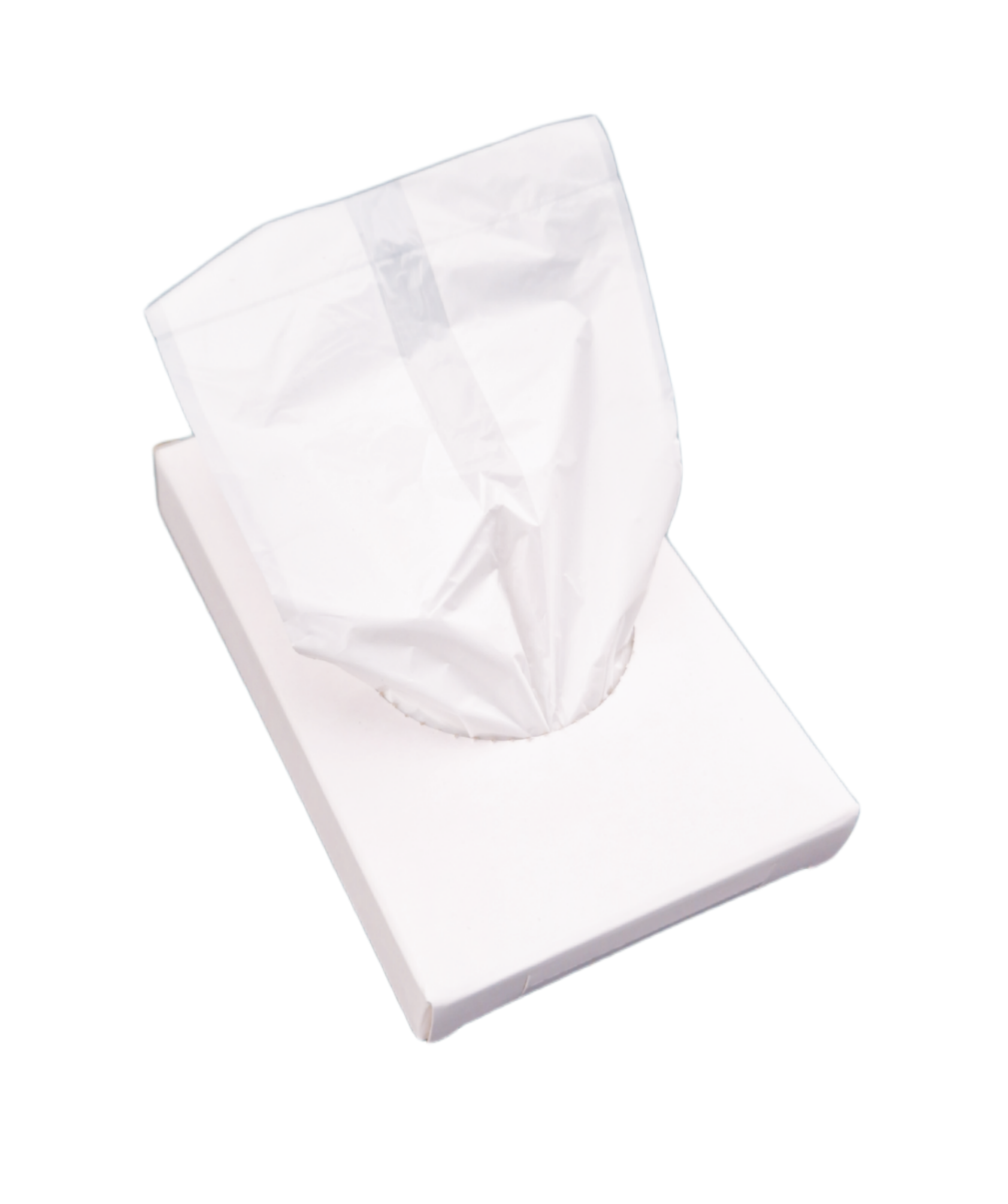 Nachfüllpackung Hygienebeutel Plastik 30 Stück pro Packung